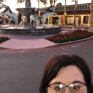 Meet your Posher, Chandra